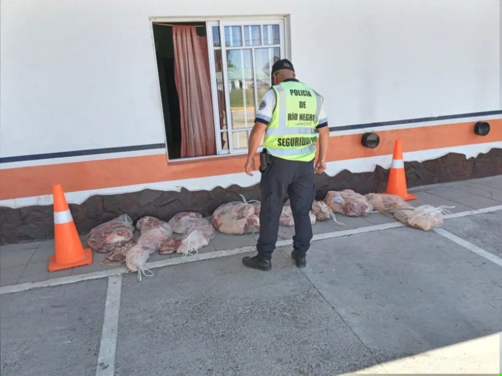 Ruta 22: Secuestraron 120 kilos de carne que transportaba "ilegalmente" un abuelo de 75 años