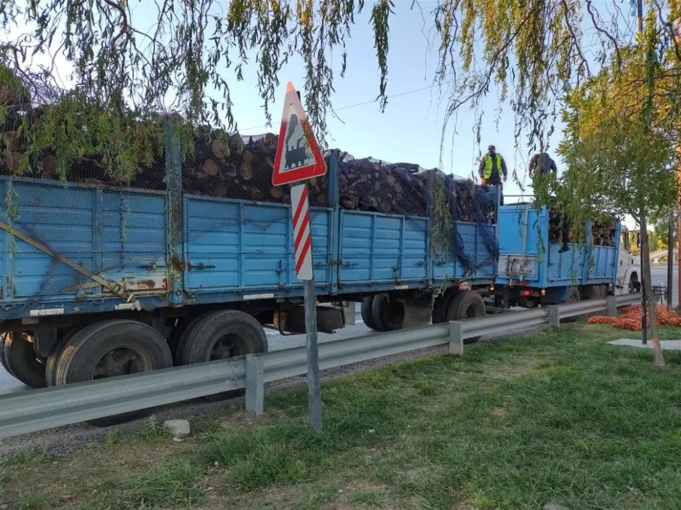 Secuestraron un cargamento de cebollas que era transportado de forma insalubre