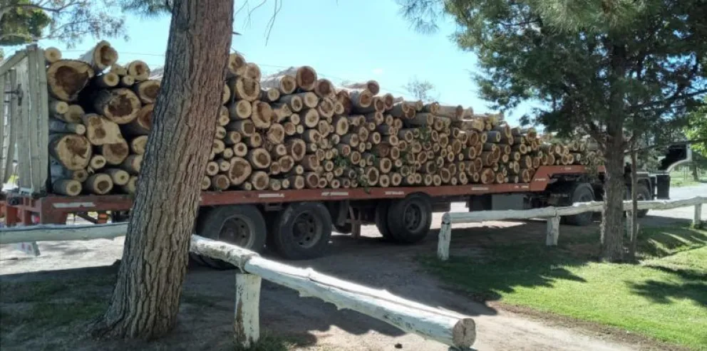 Conocé el cronograma de reparto de leña y garrafas para la próxima semana