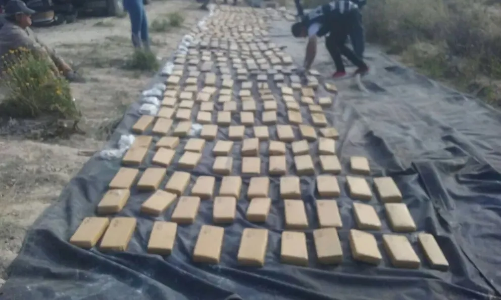 Intentó pasar 500 kilos de marihuana en un Scania y ahora enfrentará a la Justicia 
