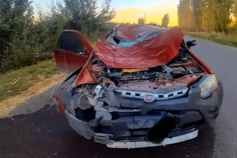 Un auto chocó contra caballos en plena ruta: tres personas tuvieron que ser hospitalizadas 