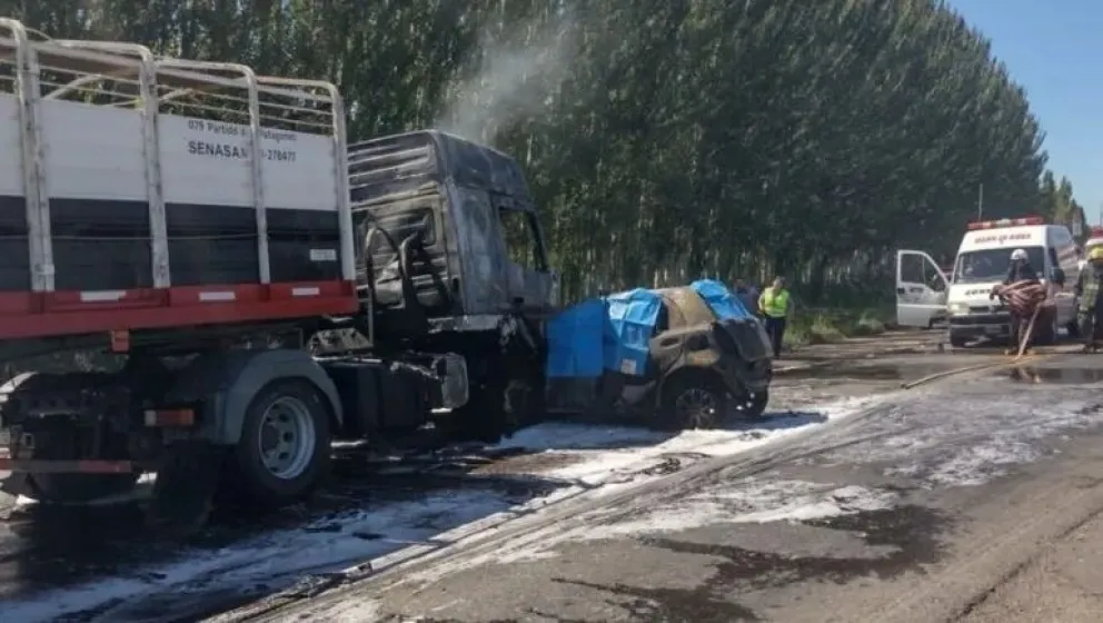 Muerte en la ruta 22: el camionero involucrado en el choque quedó en libertad