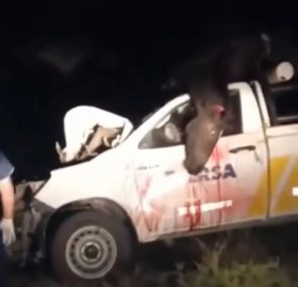 Chocaron con un caballo y un hombre sufrió heridas graves