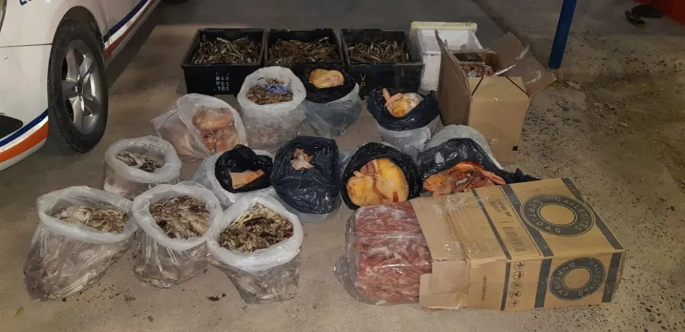 Lo descubrieron por el olor: un hombre trasladaba en su auto mariscos y patos congelados