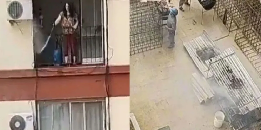 VIDEO: una mujer se cansó de los albañiles y les apagó el fuego del asado