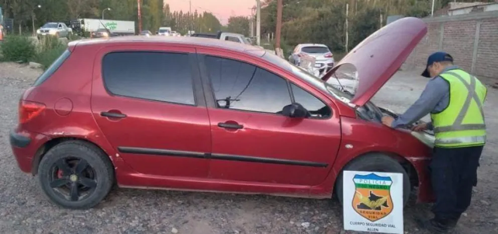 Conducía un auto robado e intentaron pasar un control con "frutas exóticas" sin autorización