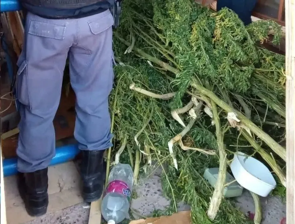 Los denunciaron por violencia de género y les encontraron drogas y armas