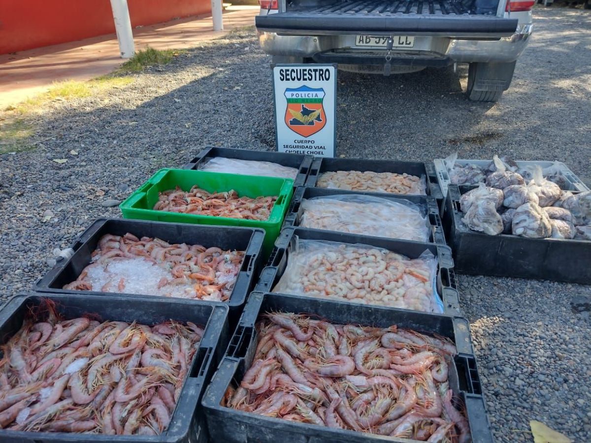 mariscos ostras mejillones cholgas