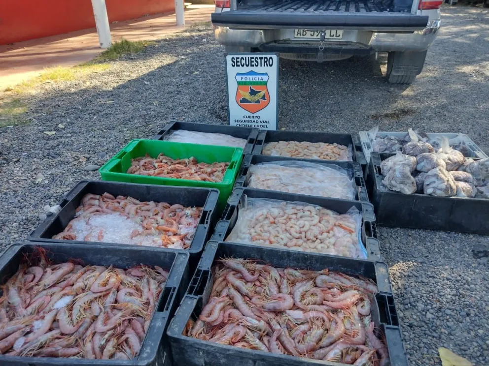 Otra vez: Secuestran mariscos transportados en un vehículo particular