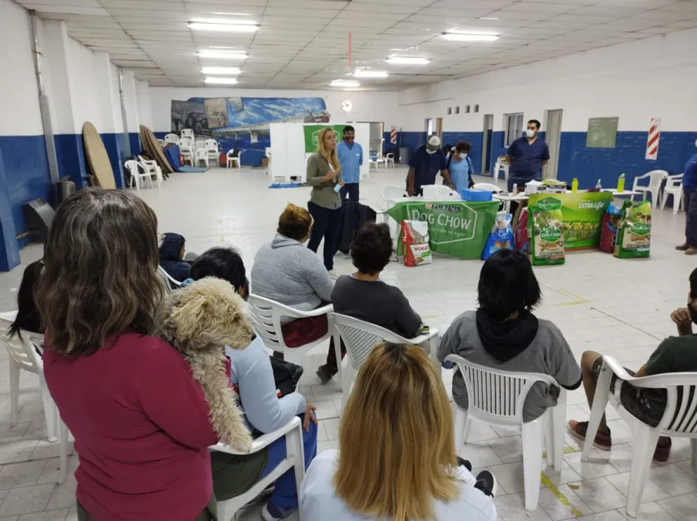 Las Jornadas de Castración fueron todo un éxito en la ciudad 
