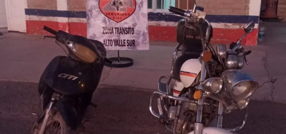 Se secuestró una moto y se retuvo un cargamento de álamos que eran transportados de manera ilegal