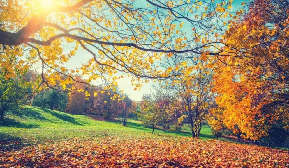Clima: ¿aflojan las heladas? Mirá cómo estará el tiempo los próximos días