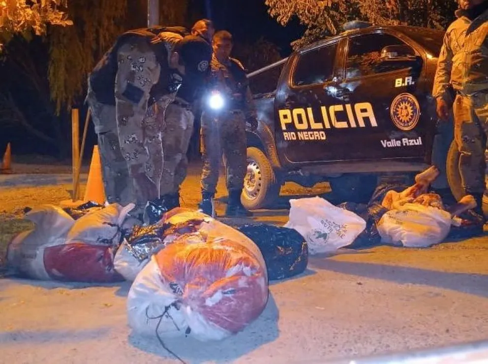 200 kilos de carne transportadas de manera ilegal fueron decomisados