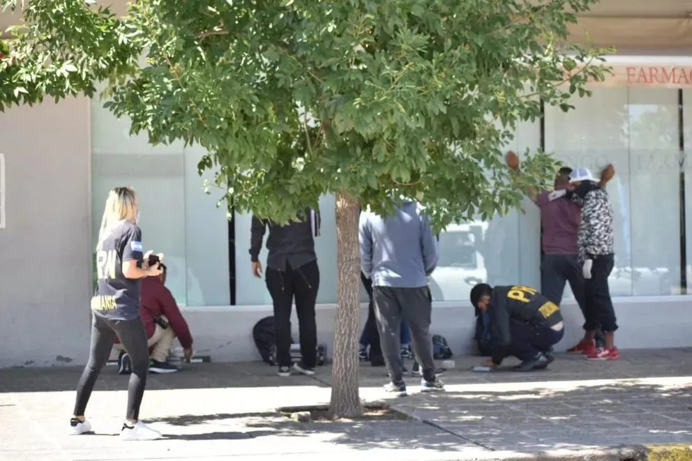 Operativo "Águila Blanca": irán a juicio las mulas que traían droga al Alto Valle 
