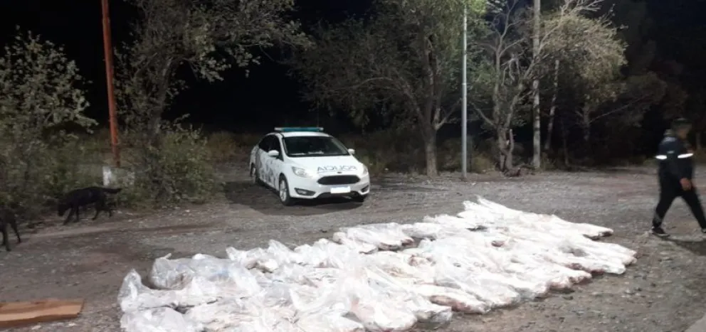 Les secuestraron 90 costillares por transportarlos sin habilitación
