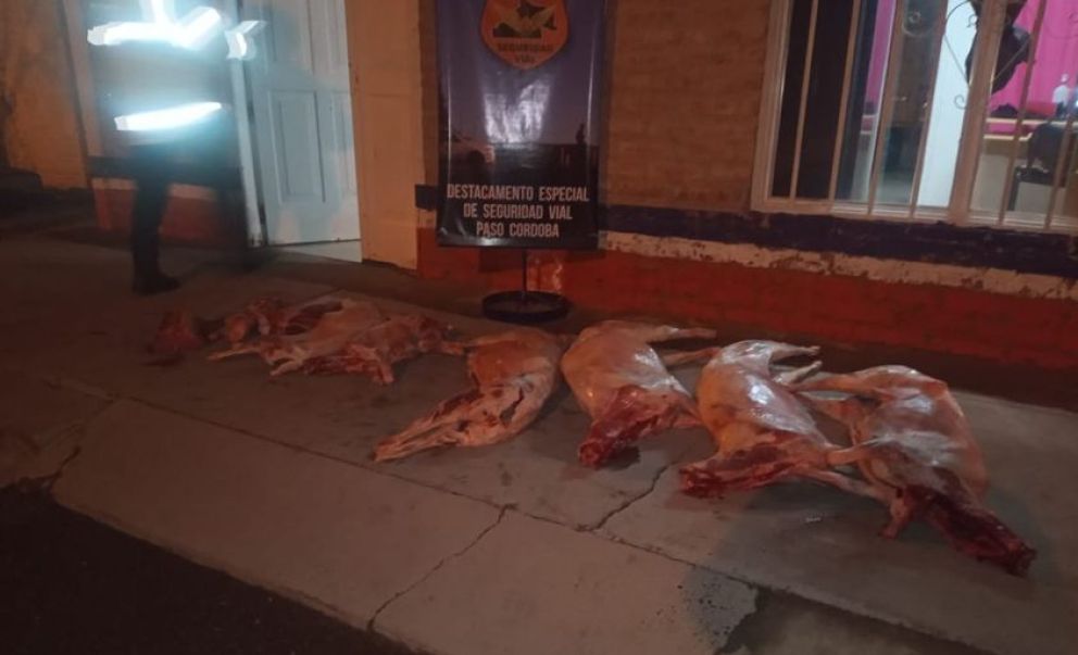 decomiso carne