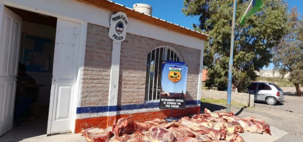 Para el asado y mucho más: La policía decomisó 700 kilos de carne