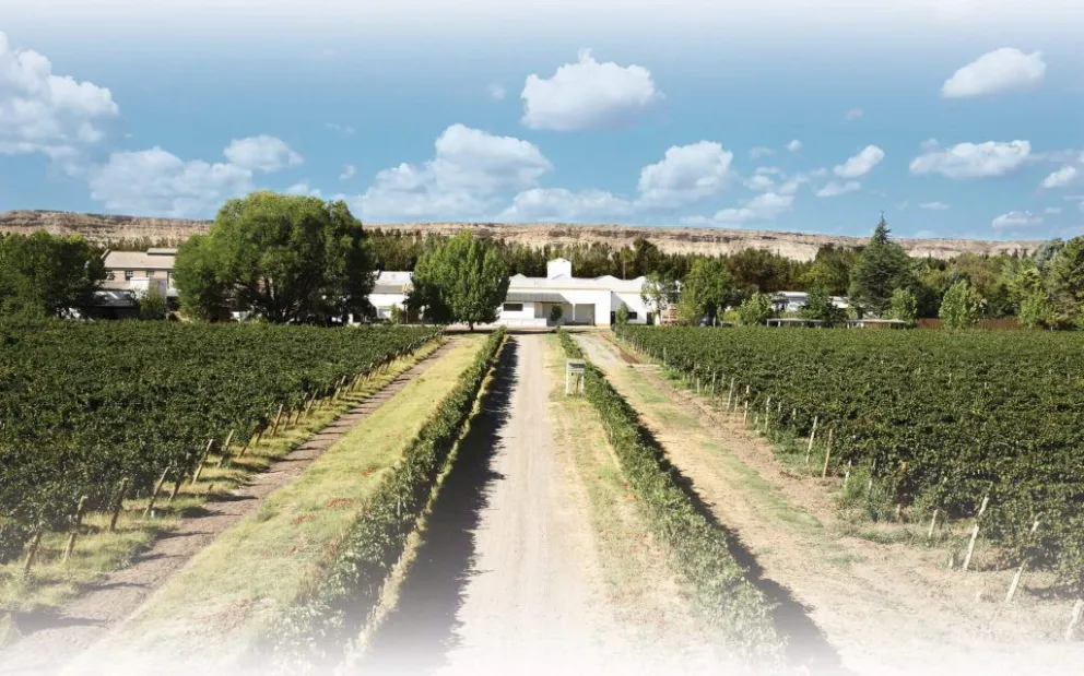 El “Camino del Vino”, stand up, visitas guiadas y la magia secreta de la producción artesanal