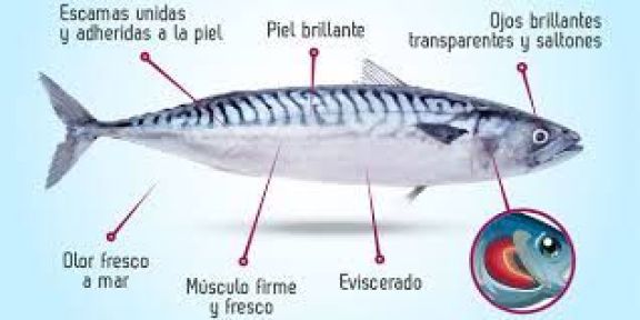 Pescado seguro