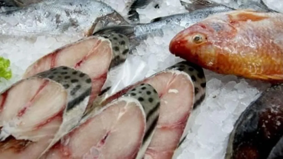 Advertencias para el consumo seguro de pescado 