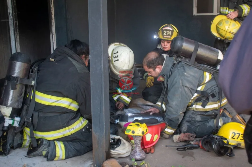 Bombero de lujo: Con maniobras de reanimación le salvó la vida a un perro