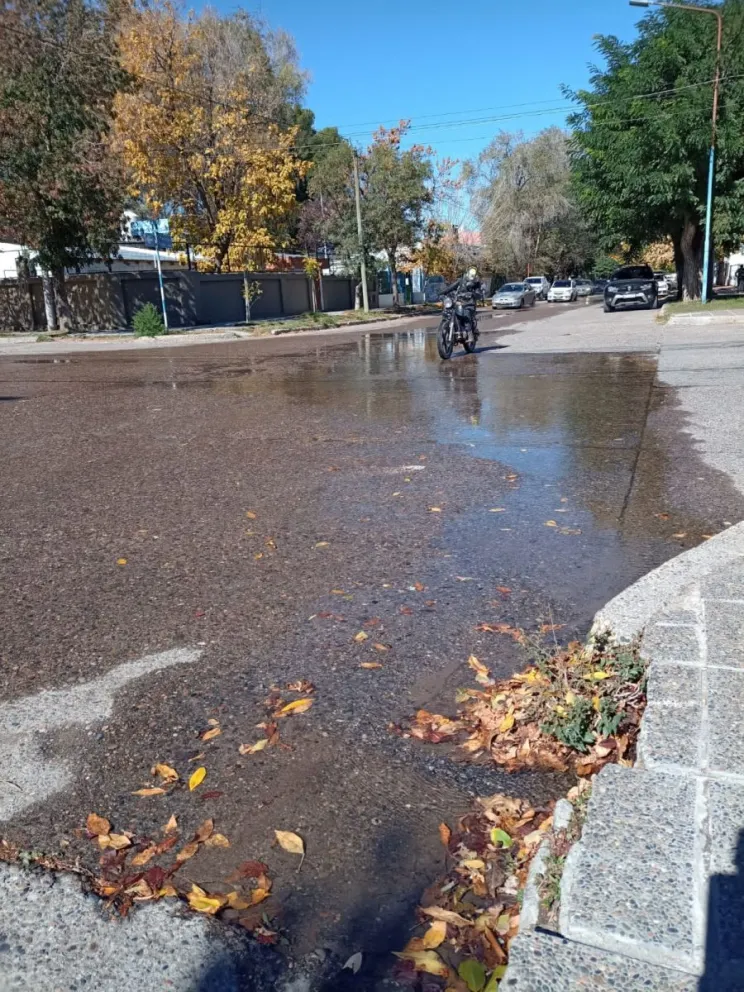 En cinco días labraron más de 100 actas por desbordes cloacales y pérdidas de agua 