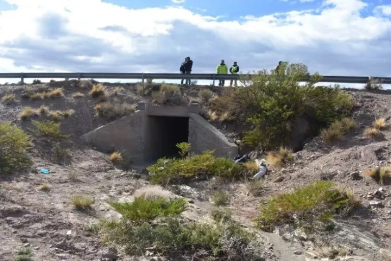 Un roquense falleció en un siniestro vial a causa del viento volviendo de Chos Malal