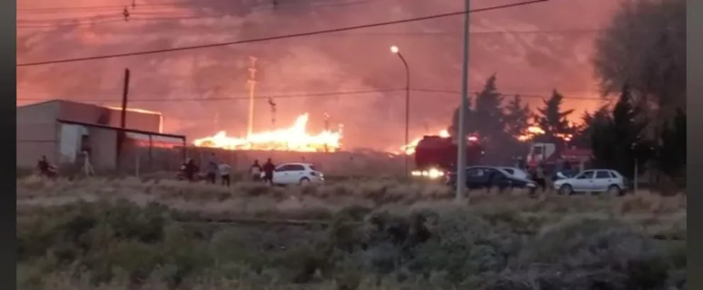 Devastador incendio en un aserradero reginense