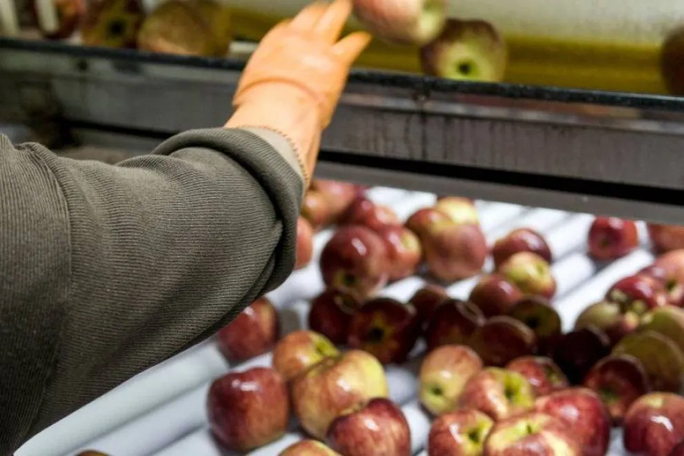 Trabajadora de la fruta se resbaló y se lesionó el tobillo: ahora deberán indemnizarla
