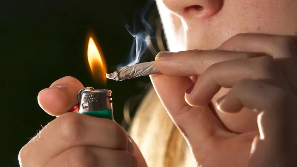 Una pasajera dijo llevar droga para consumo personal pero no le creyó el fiscal federal de Roca 
