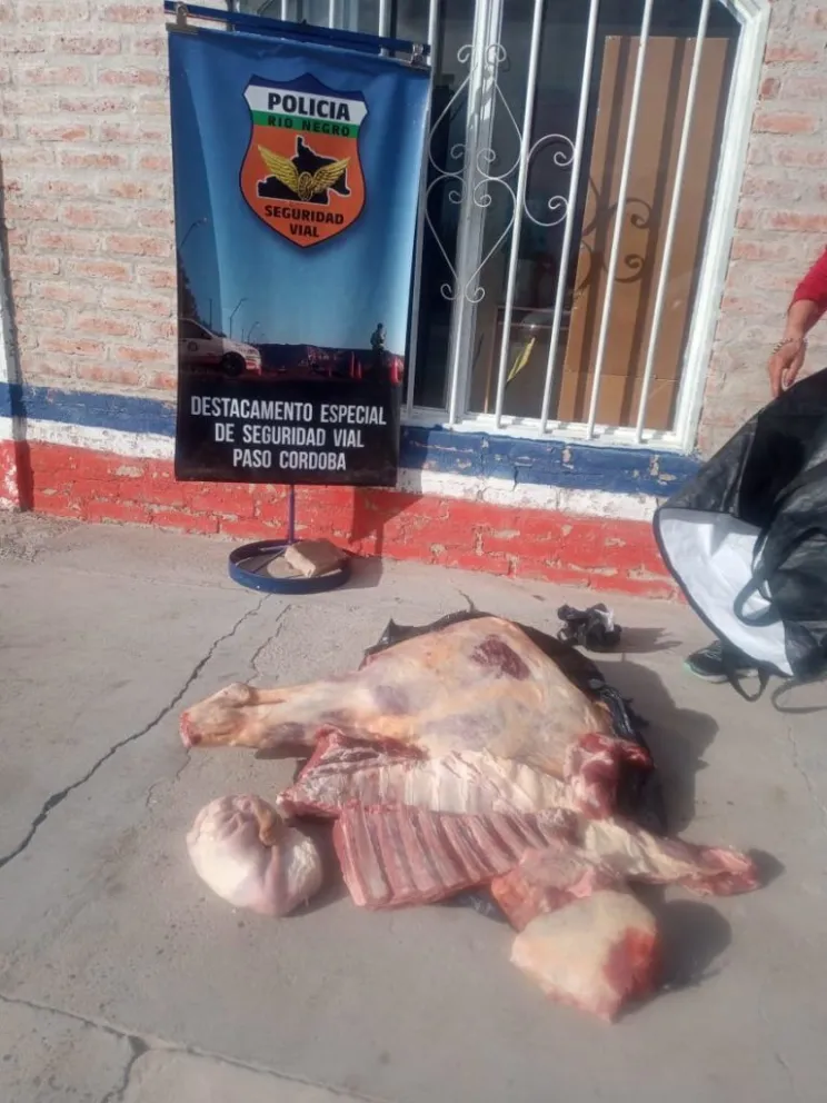 Le pidieron que mostrara la carga y encontraron dos caballos faenados