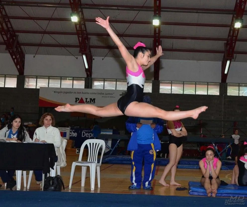 Gimnasia, karate, ajedrez y mucho más: vení a disfrutar de los talleres multidisciplinarios al Canal Grande