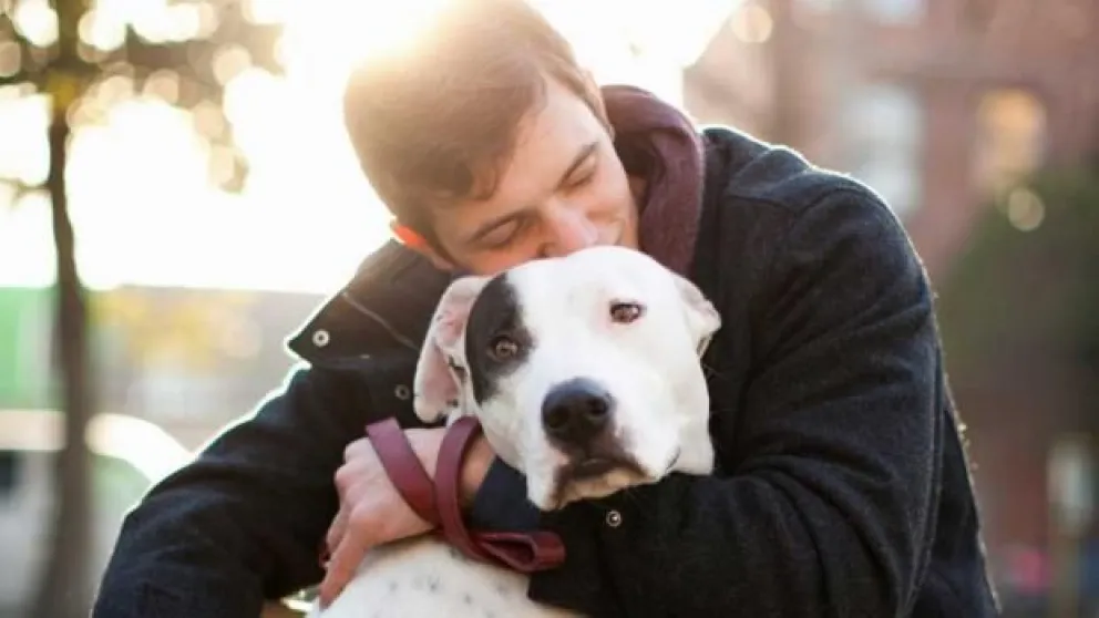 Este sábado, sumate al abrazo nacional por los animales  