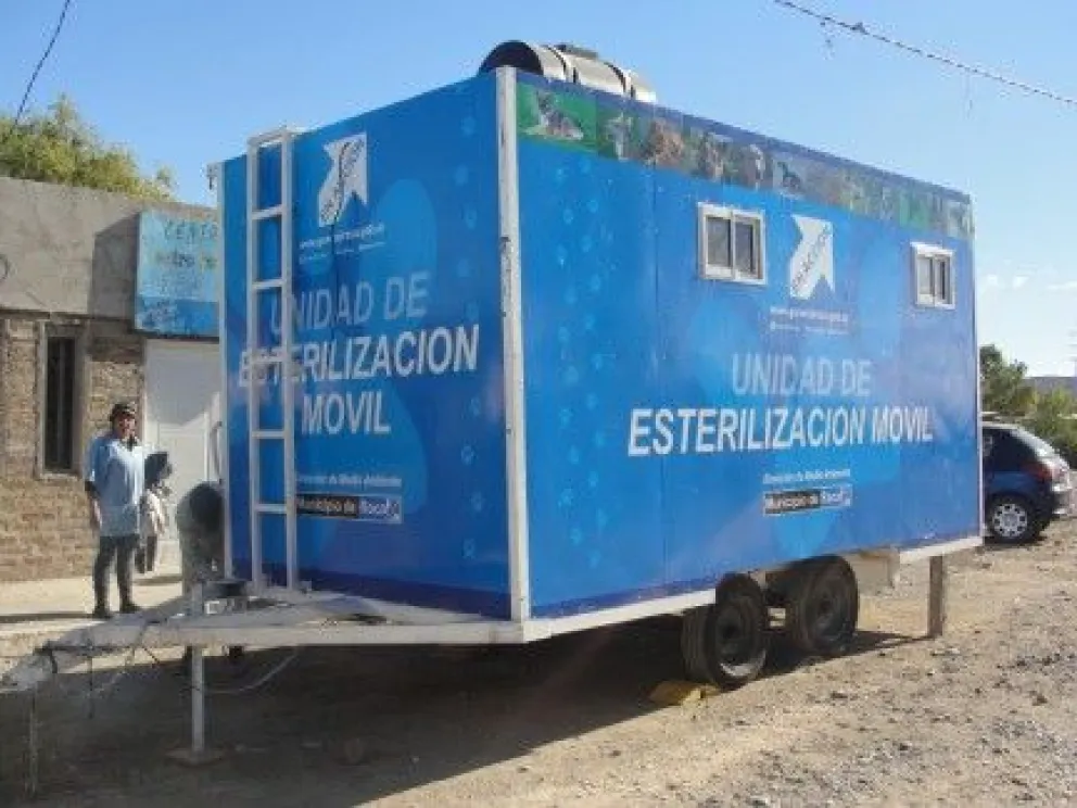 Tenencia responsable: Sacá un turno para esterilizar tu mascota