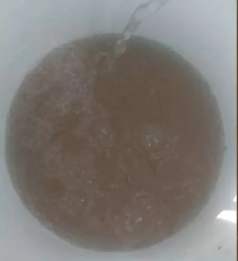Por la turbiedad que presenta, analizan el agua que llega a las viviendas de Chacra Monte